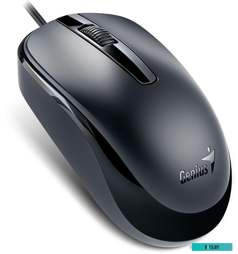 Мышь Genius DX-120 (черный)