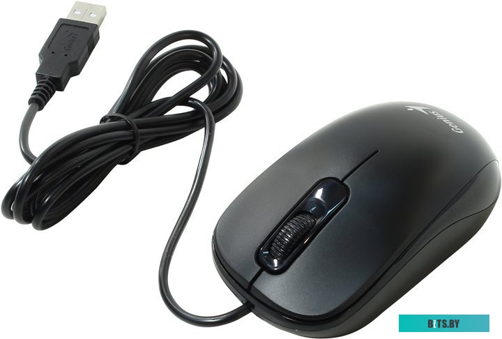 Мышь Genius DX-110 (черный)