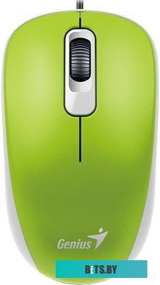 Мышь Genius DX-110 (зеленый)