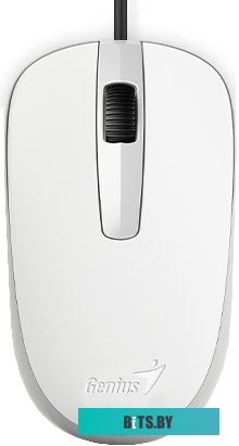 Мышь Genius DX-120 (белый)