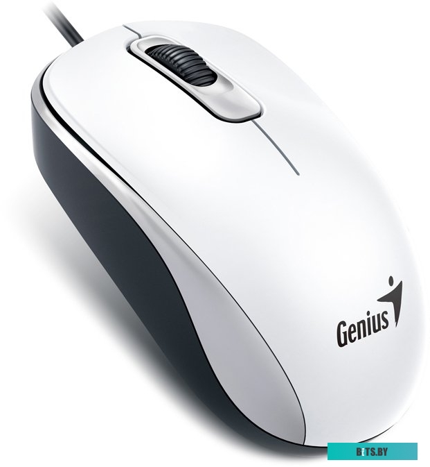 Мышь Genius DX-120 (белый)