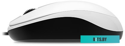 Мышь Genius DX-120 (белый)