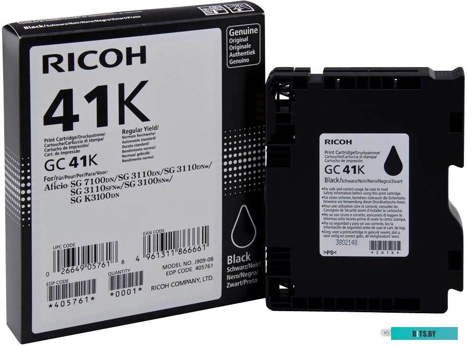 Картридж Ricoh GC 41K (405761)