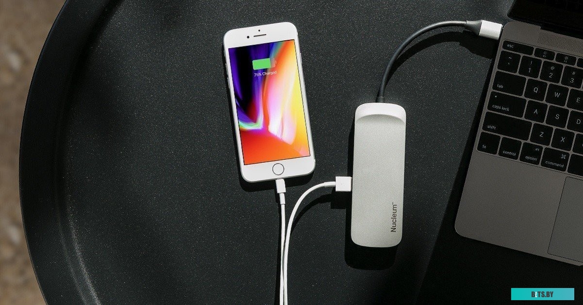 Концентратор USB (Хаб) Kingston Nucleum <C-HUBC1-SR-EN>
