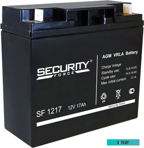 Аккумулятор для ИБП Security Force SF 1217 (12В/17 А·ч)