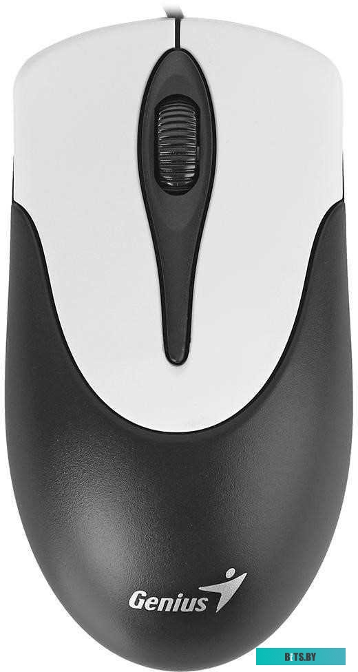 Мышь Genius NetScroll 100 V2 (черный)