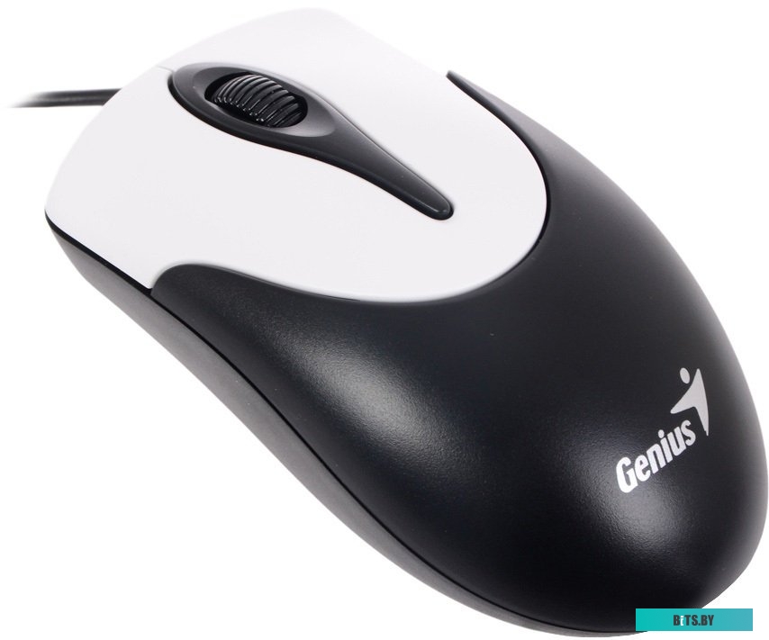 Мышь Genius NetScroll 100 V2 (черный)
