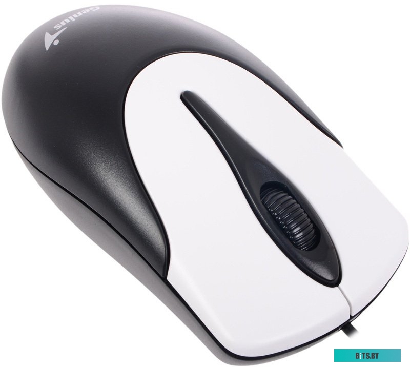 Мышь Genius NetScroll 100 V2 (черный)