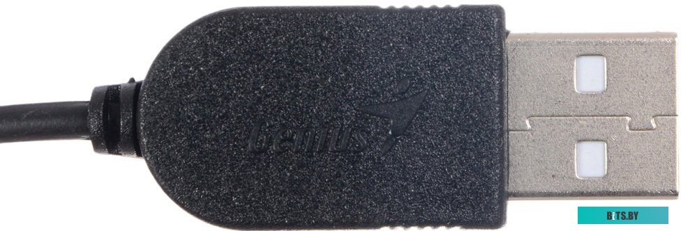 Мышь Genius NetScroll 100 V2 (черный)