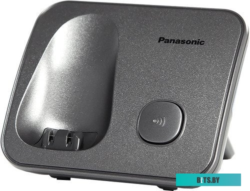Радиотелефон Panasonic KX-TG6811RUM