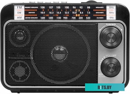 Радиоприемник Ritmix RPR-171