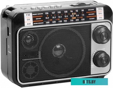 Радиоприемник Ritmix RPR-171