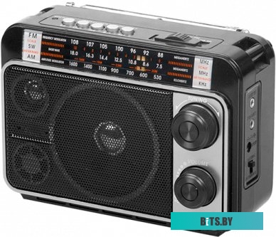 Радиоприемник Ritmix RPR-171