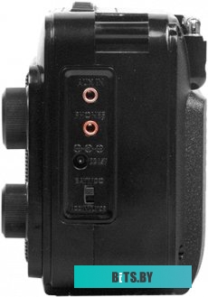 Радиоприемник Ritmix RPR-171