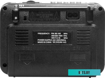 Радиоприемник Ritmix RPR-171