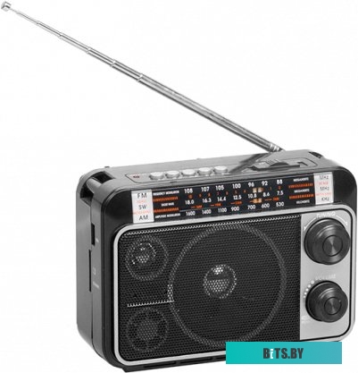 Радиоприемник Ritmix RPR-171