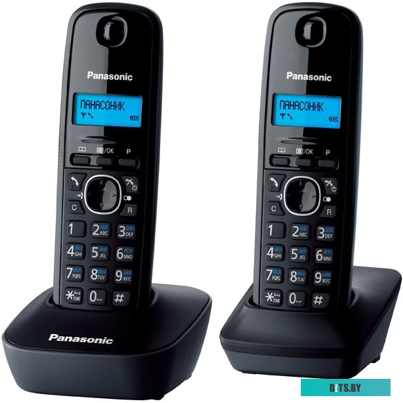Радиотелефон Panasonic KX-TG1612RUH