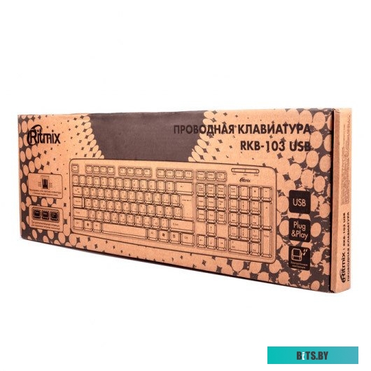 Клавиатура Ritmix RKB-103 USB
