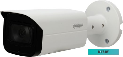 IP-камера Dahua DH-IPC-HFW2531TP-ZS-S2