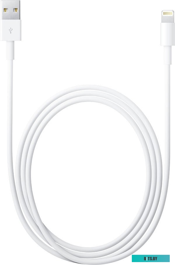 Кабель Apple MD819ZM/A
