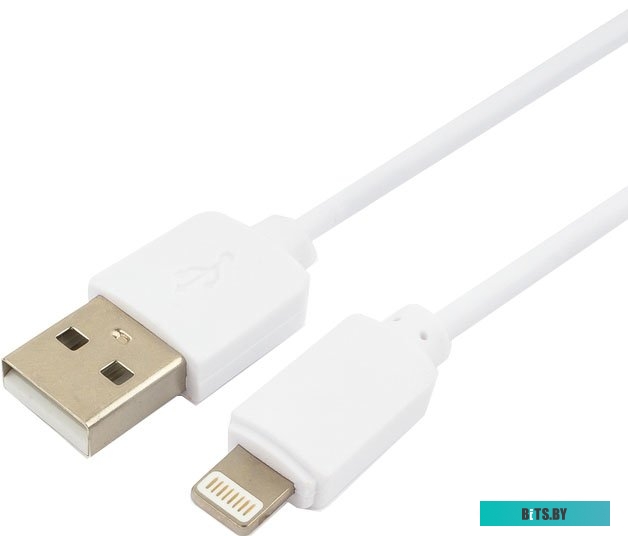Кабель Гарнизон GCC-USB2-AP2-1M-W 1.0m