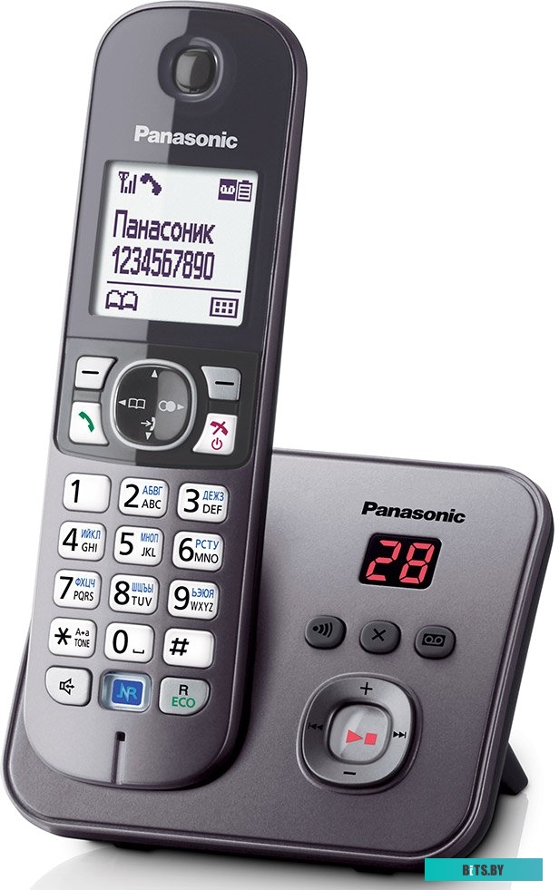 Радиотелефон Panasonic KX-TG6821RUM