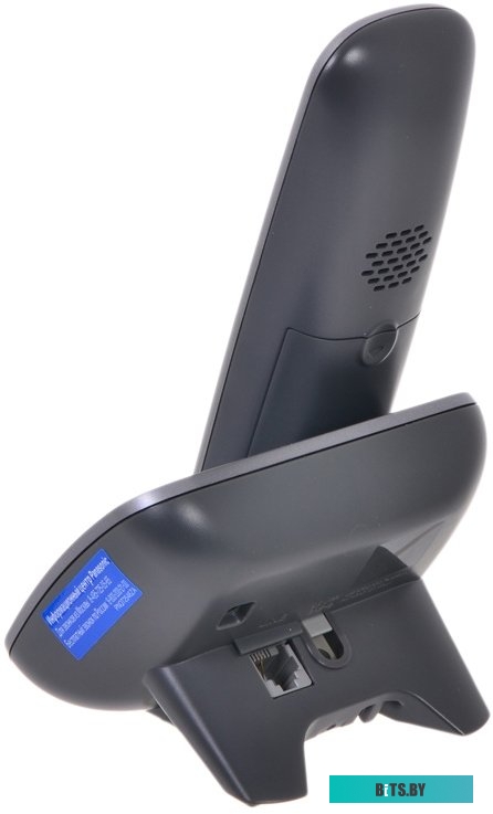 Радиотелефон Panasonic KX-TG6821RUM