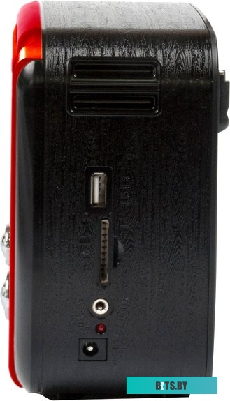 Радиоприемник Ritmix RPR-050 (золотой) <RPR-050 Gold>