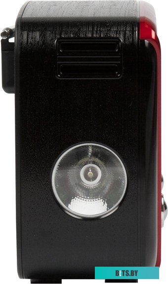 Радиоприемник Ritmix RPR-050 (золотой) <RPR-050 Gold>