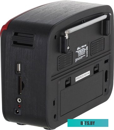 Радиоприемник Ritmix RPR-050 (золотой) <RPR-050 Gold>