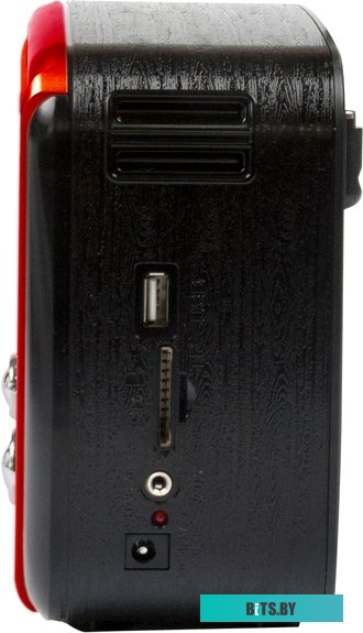 Радиоприемник Ritmix RPR-050 (золотой) <RPR-050 Gold>