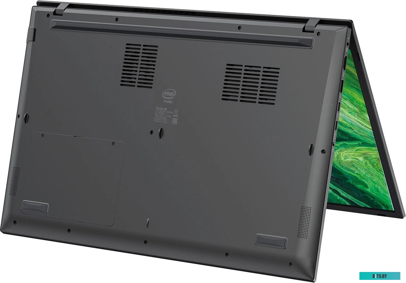 Ноутбук DIGMA PRO Fortis M DN17P3-ADXW04 DN17P3-ADXW04.