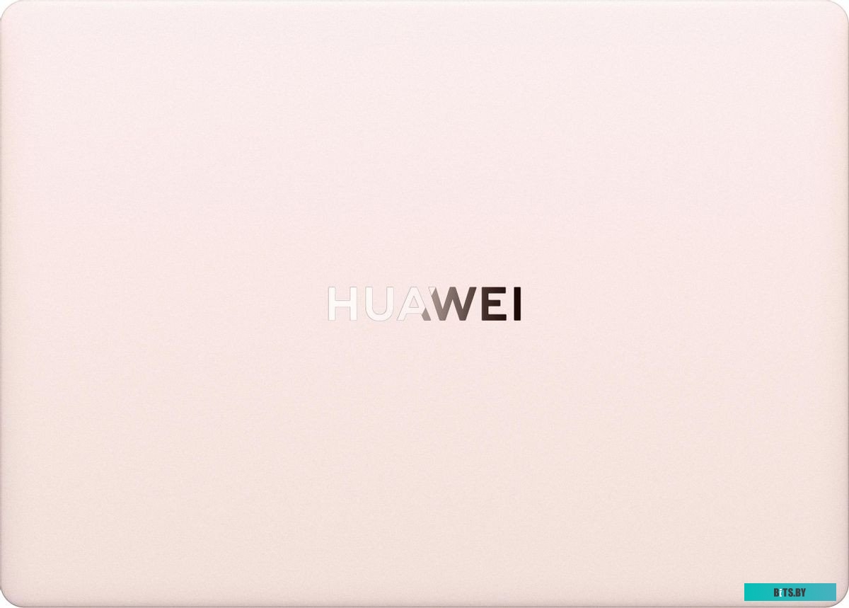 Ноутбук Huawei MateBook X Pro VGHH-X 14.2 53014DEX
