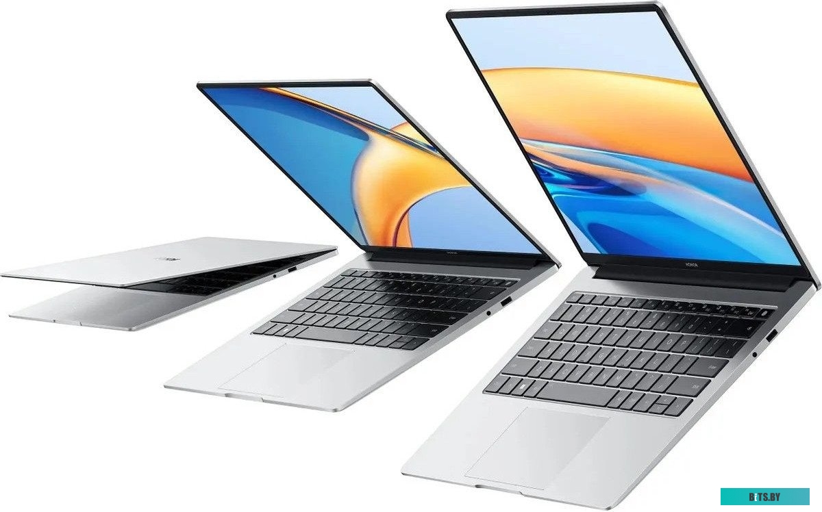 Ноутбук Honor MagicBook X14 2024 FRI-H56 5301AKAX