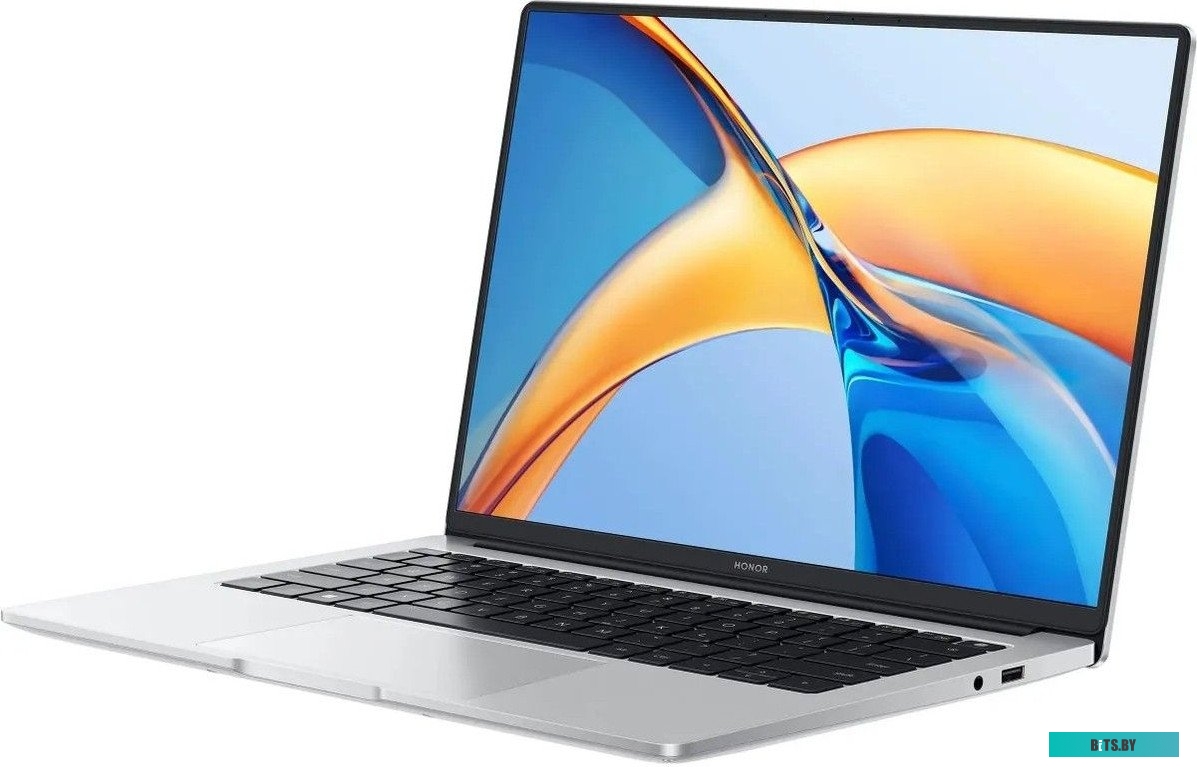 Ноутбук Honor MagicBook X14 2024 FRI-H56 5301AKAX