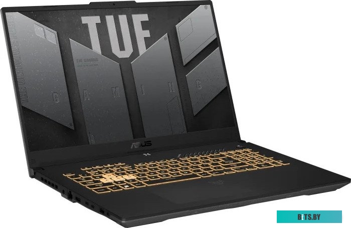 Ноутбук Asus TUF Gaming F15 FX507VV-LP186 90NR0BV7-M00PA0