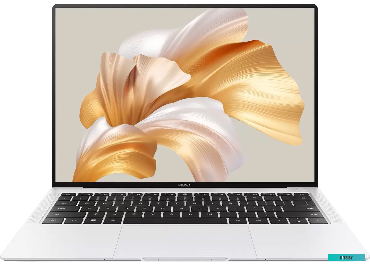 Ноутбук HUAWEI MateBook MRGF-X 53013MVS