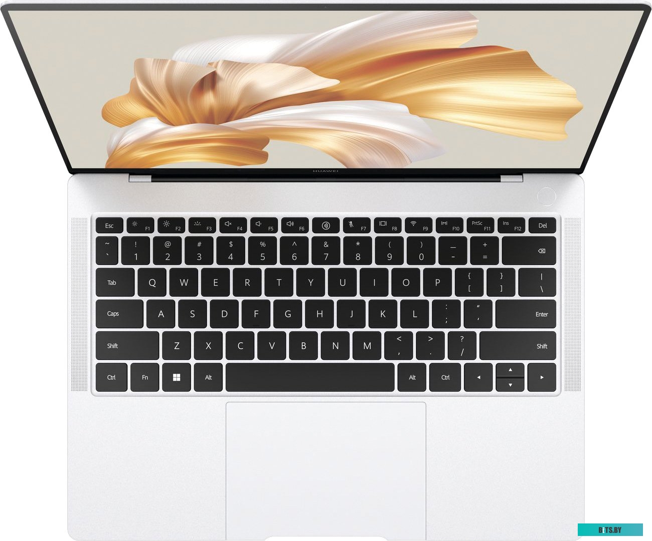 Ноутбук HUAWEI MateBook MRGF-X 53013MVS