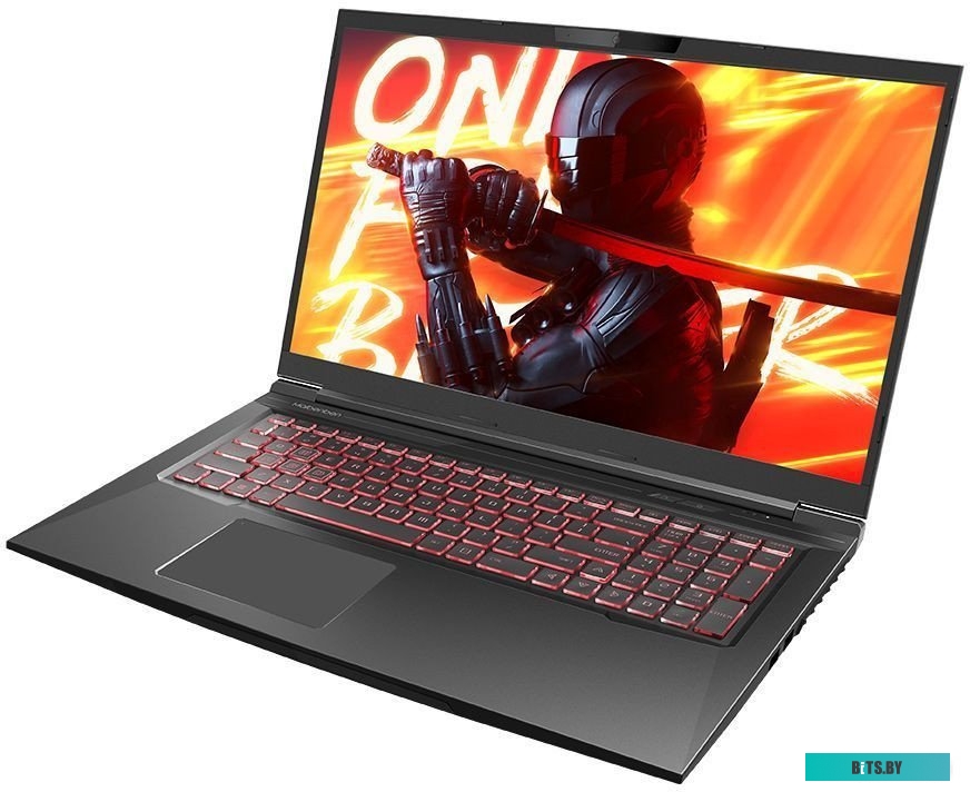 Ноутбук Maibenben X668 X668QSFELBRE0