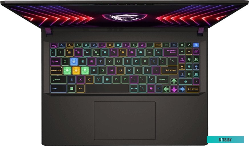 Игровой ноутбук MSI Vector 16 HX A14VIG-807BY