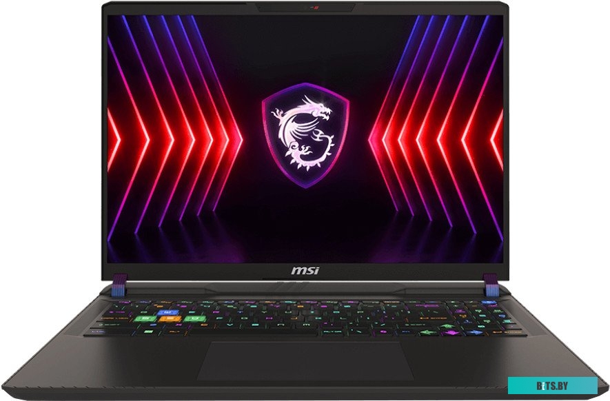 Игровой ноутбук MSI Vector 16 HX A14VIG-807BY