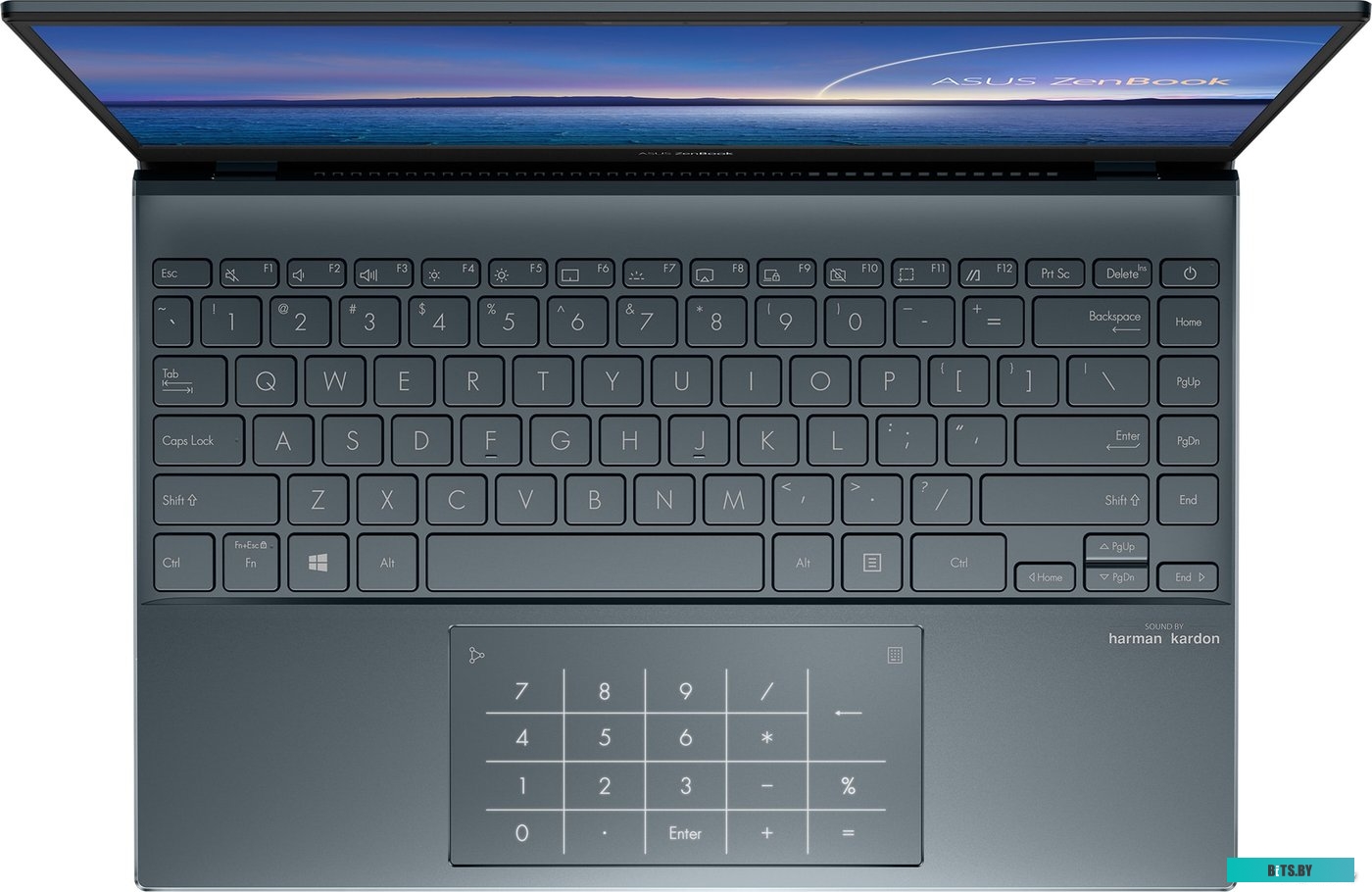 Ноутбук ASUS ZenBook 13 UX325EA-KG908W