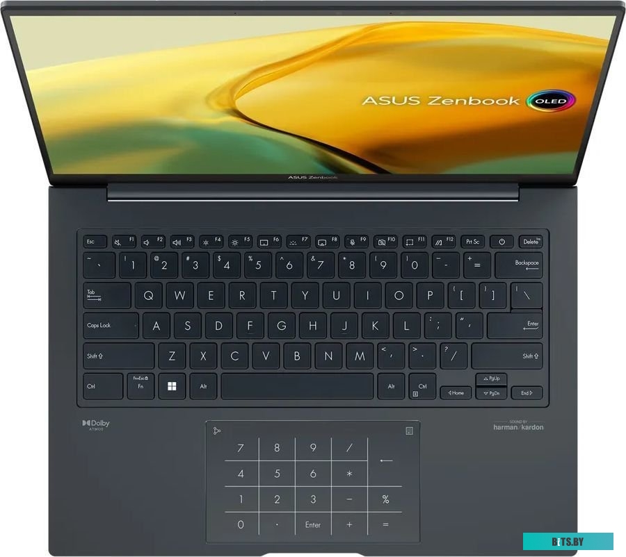 90NB1081-M00500 Ноутбук ZB UX3404VA-M9091X OLED 14" CI9-13900H 16GB/1TB W11P ASUS