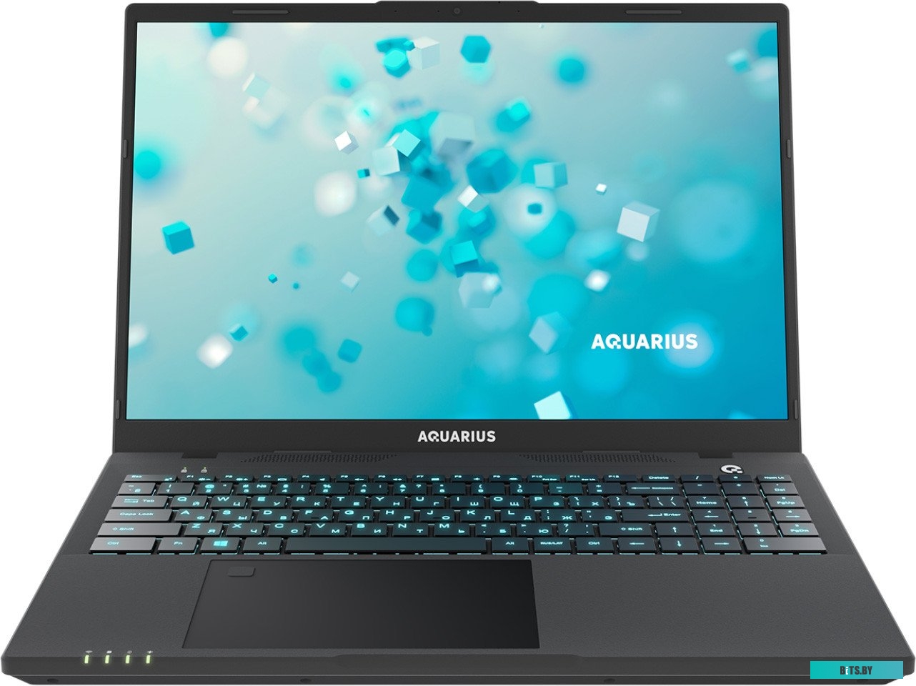 CN-NS616152518S125SCN2TNNNN2 Ноутбук Aquarius Cmp NS616 Core i5 1155G7 8Gb SSD256Gb 16" IPS FHD noOS WiFi BT Cam (CN-NS616152518S125SCN2TNNNN2)