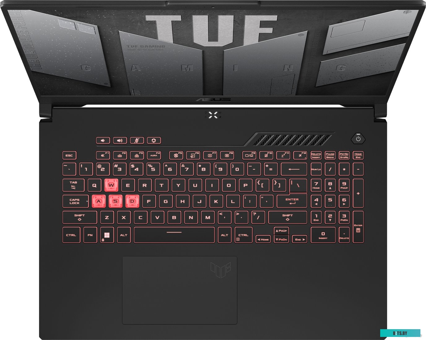 Игровой ноутбук ASUS TUF Gaming A17 FA707RM-HX031W 90NR0972-M001P0