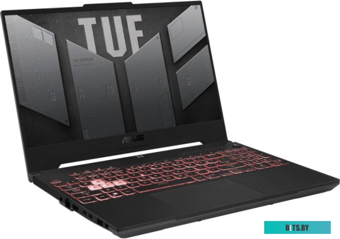 Ноутбук ASUS TUF Gaming A15 FA507RR-HQ007 90NR0B31-M005D0