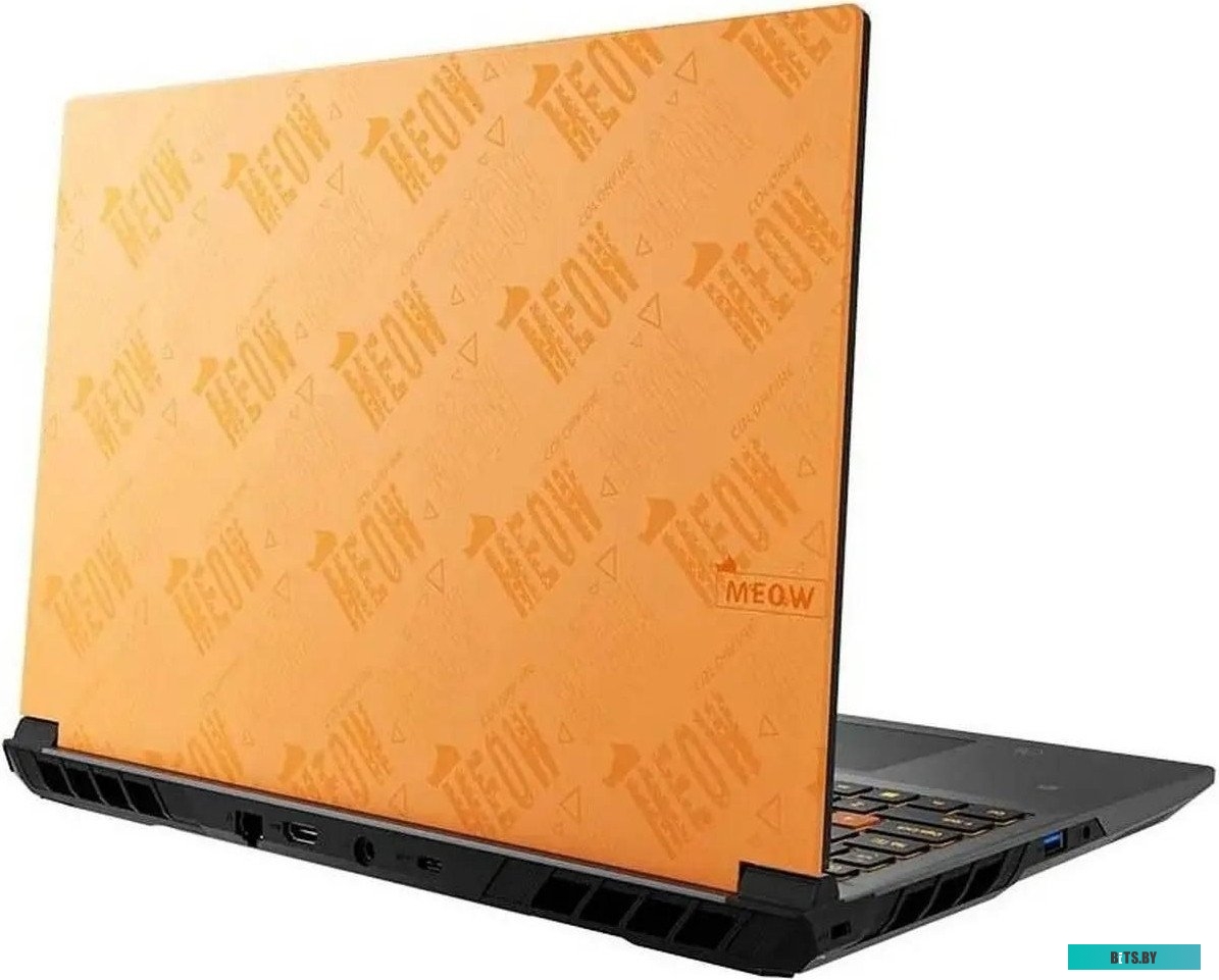 Ноутбук Colorful MEOW R15 24-HR87B16512E-O-RUA-KA (A10305000027)