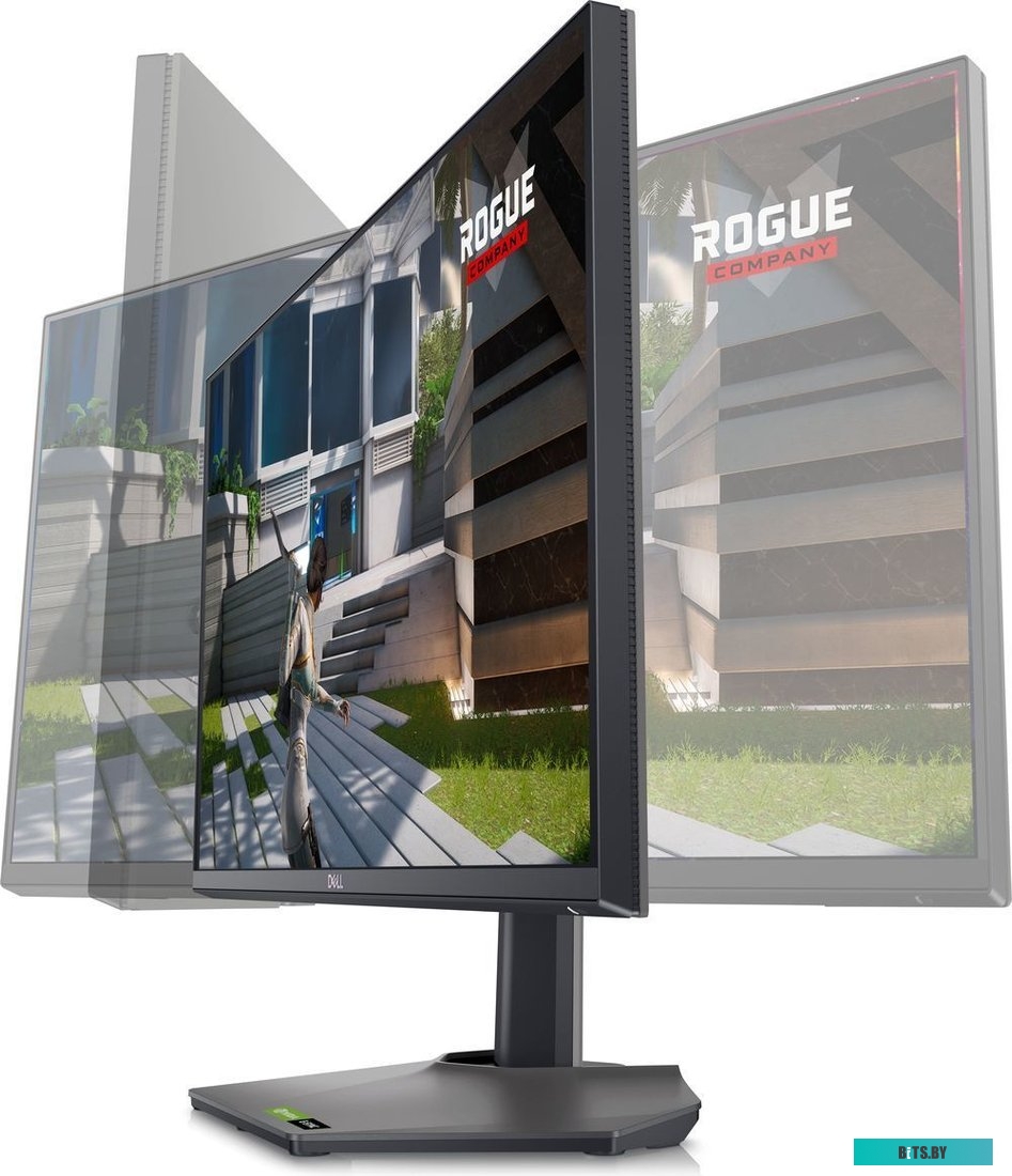 Dell G2524H