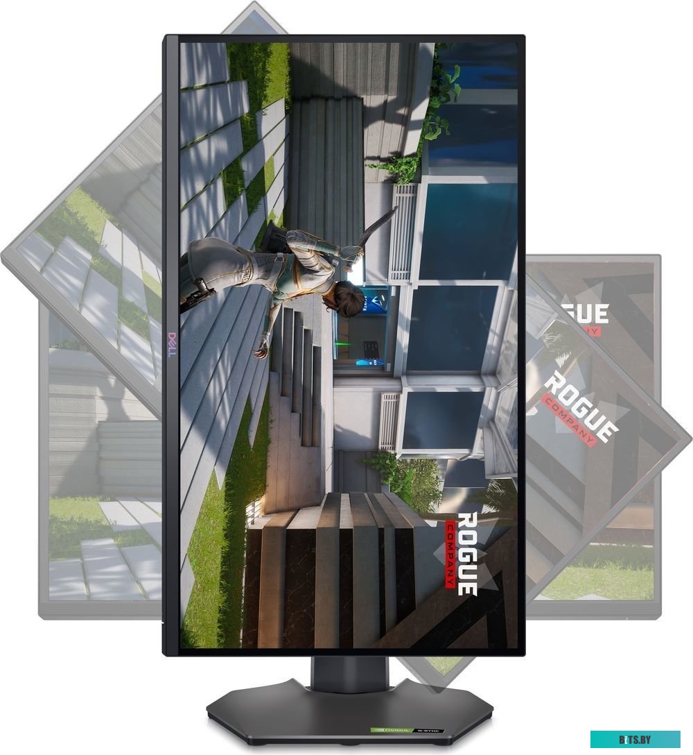 Dell G2524H