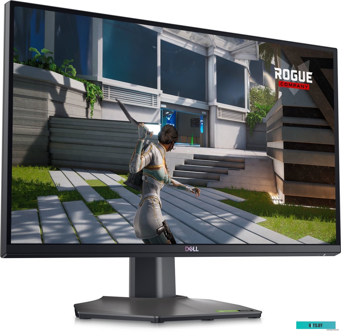 Dell G2524H